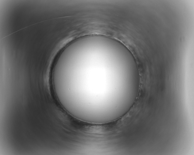 X0000088840104200706211840