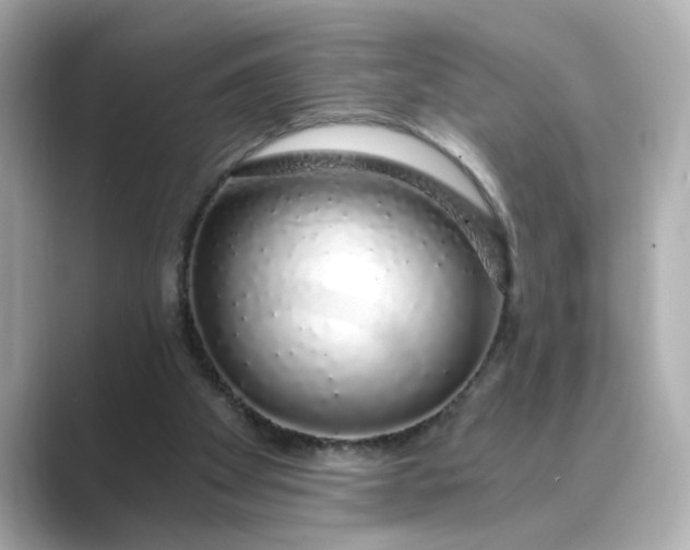 X0000088840105200706211840