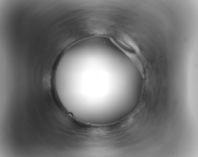 X0000088840106200706211840