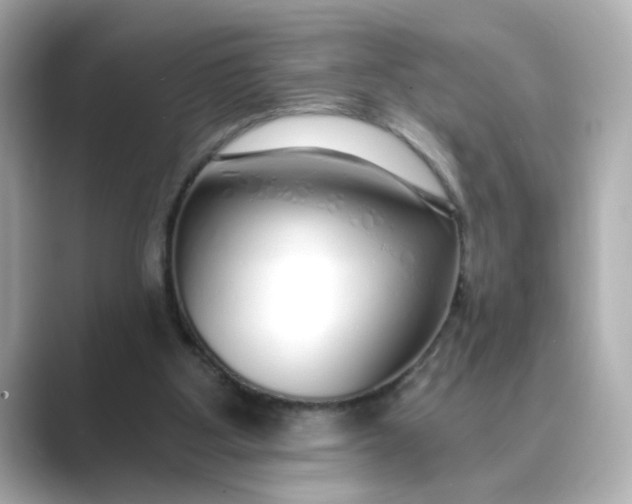 X0000088840107200706211840