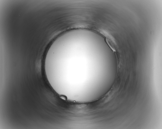 X0000088840108200706211840