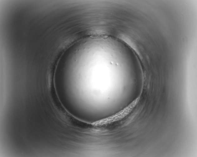 X0000088840109200706211840