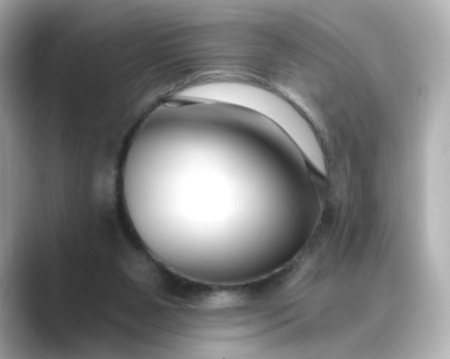 X0000088840111200706211840