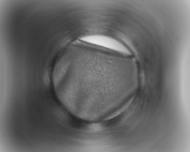 X0000088840114200706211840