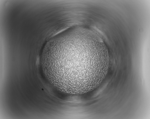 X0000088840117200706211840