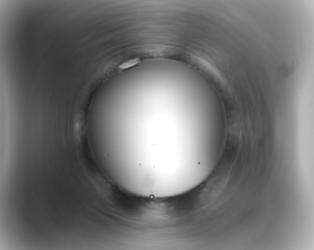 X0000088840119200706211840