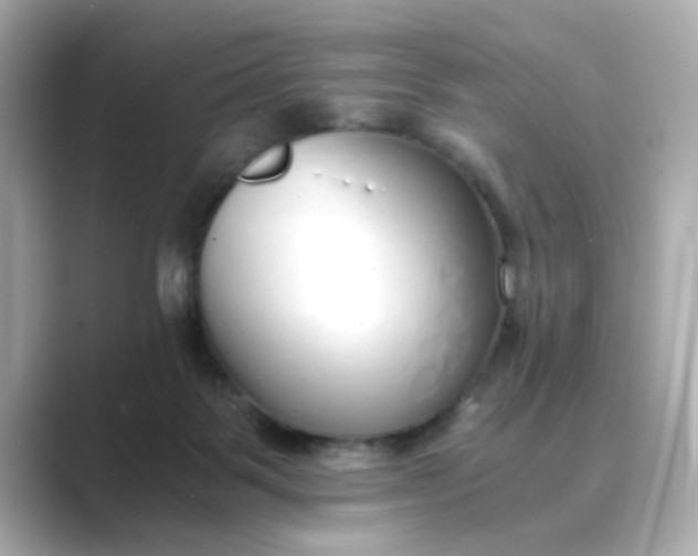 X0000088840123200706211840