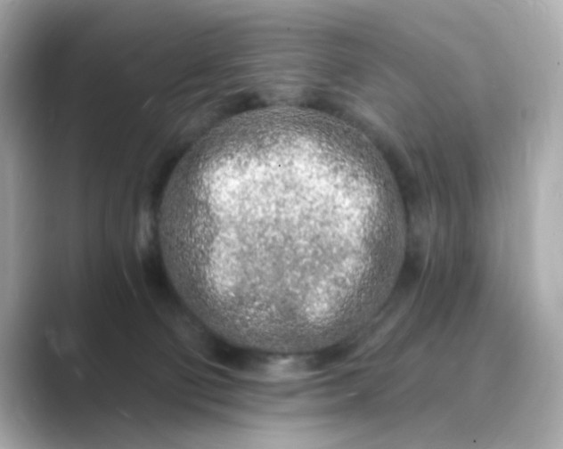 X0000088840130200706211840