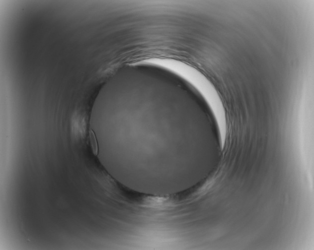 X0000088840139200706211840