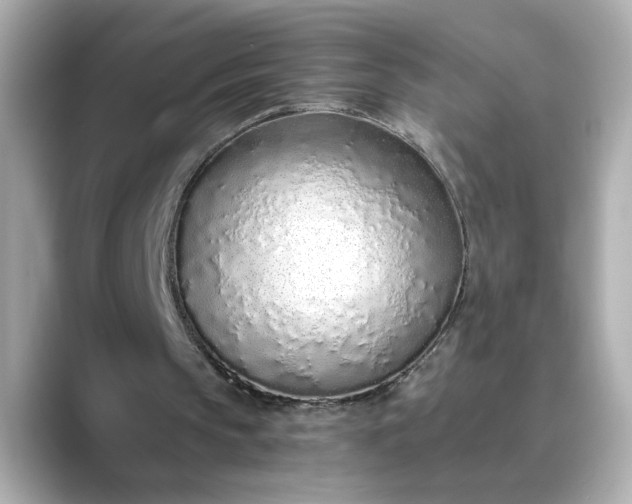 X0000088840145200706211839