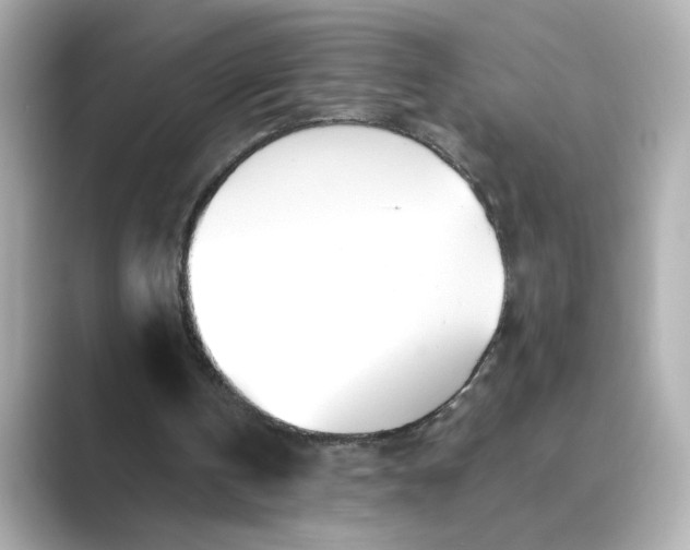 X0000088840146200706211839