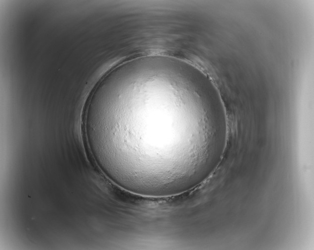 X0000088840147200706211839