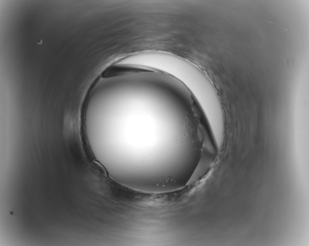 X0000088840148200706211839