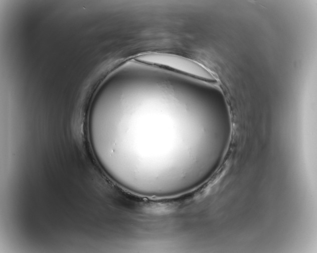 X0000088840149200706211839