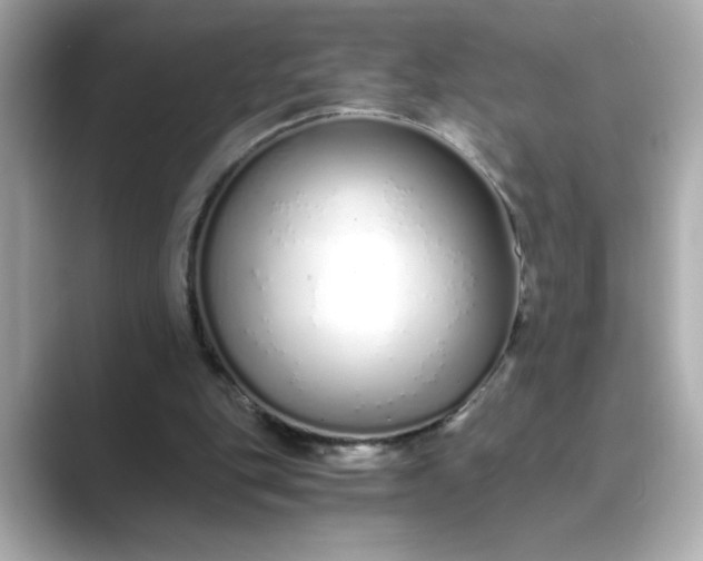 X0000088840151200706211839