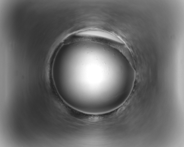 X0000088840152200706211839