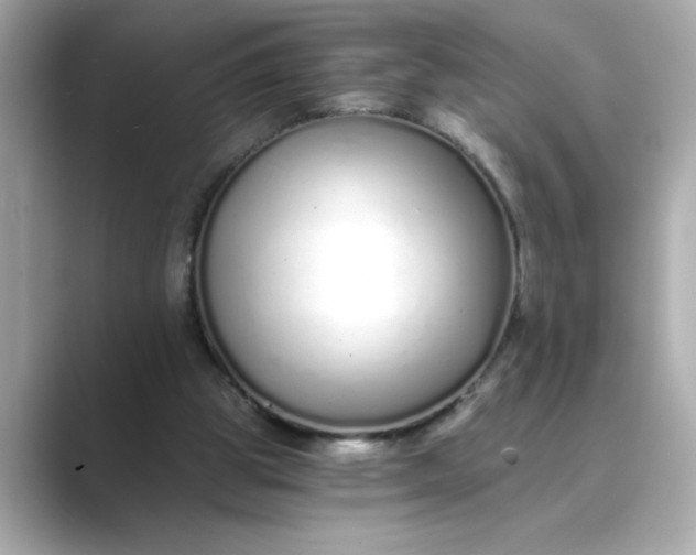 X0000088840153200706211839