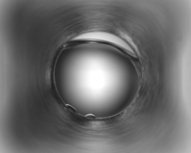 X0000088840154200706211839