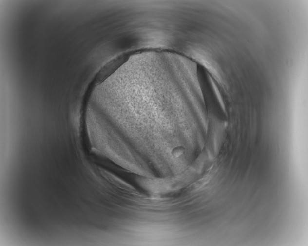 X0000088840156200706211839