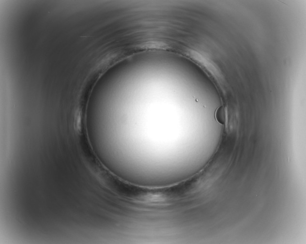 X0000088840157200706211839