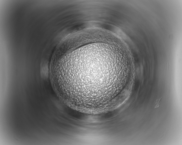 X0000088840158200706211839