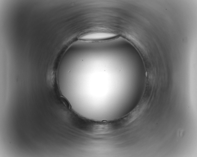 X0000088840160200706211839