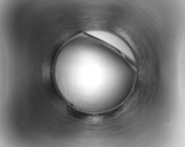 X0000088840161200706211839