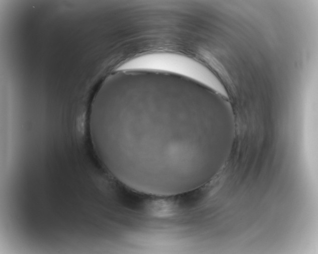 X0000088840163200706211839