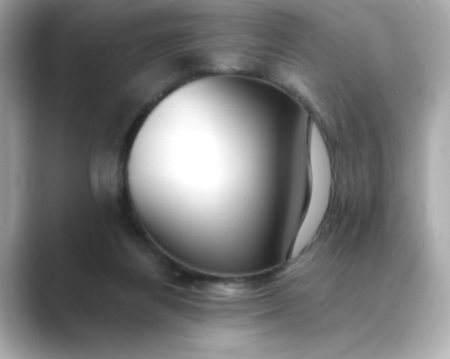 X0000088840164200706211839