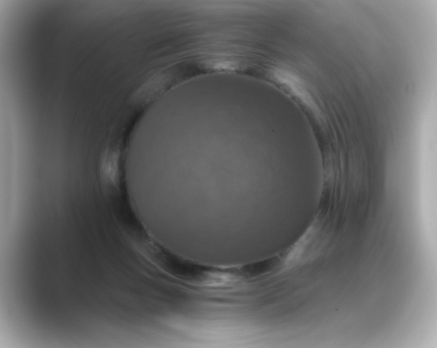 X0000088840167200706211839