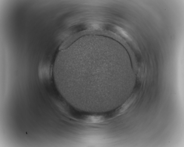 X0000088840168200706211839