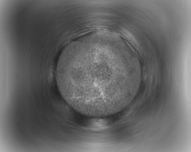 X0000088840169200706211839