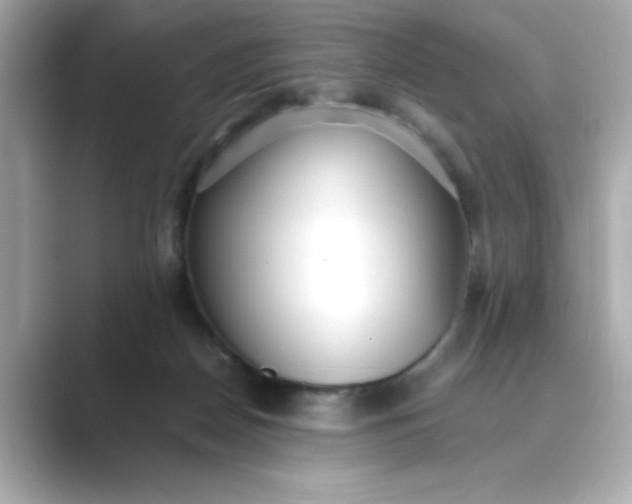 X0000088840170200706211839