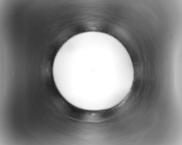 X0000088840174200706211839