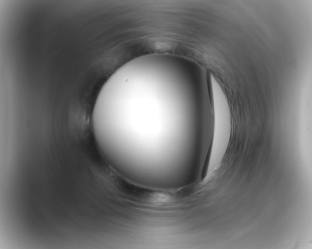 X0000088840176200706211839