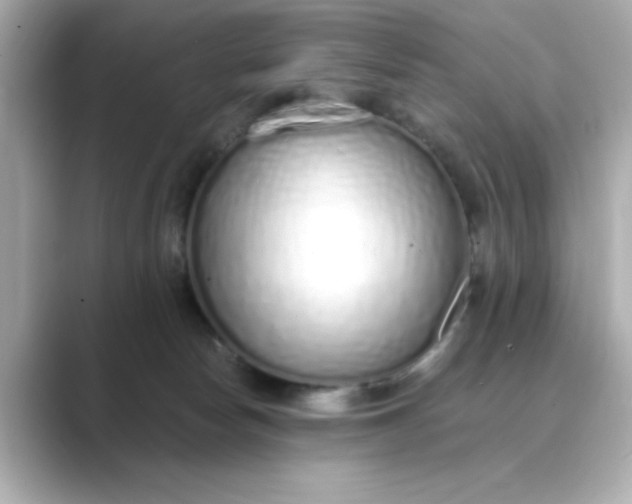 X0000088840178200706211839