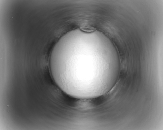 X0000088840179200706211839