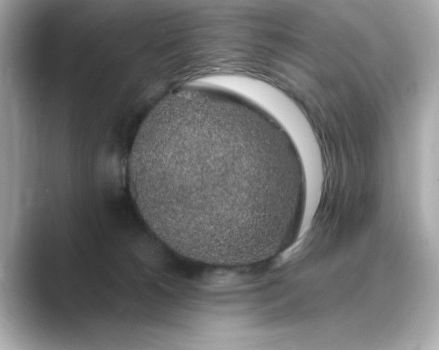 X0000088840180200706211839