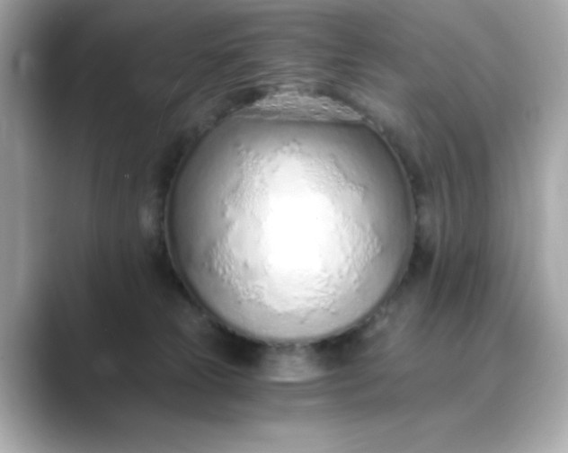 X0000088840181200706211839