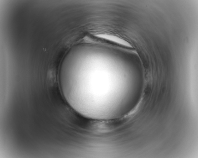 X0000088840182200706211839