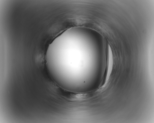 X0000088840184200706211839