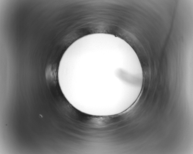 X0000088840190200706211839