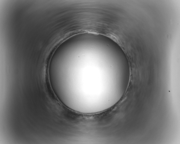 X0000088840194200706211839