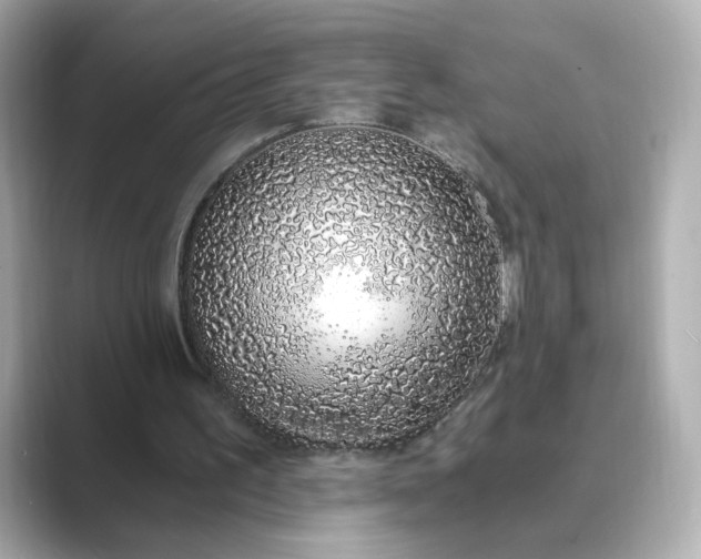 X0000088840195200706211839