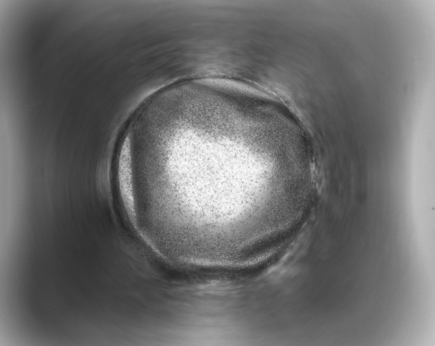 X0000088840196200706211839