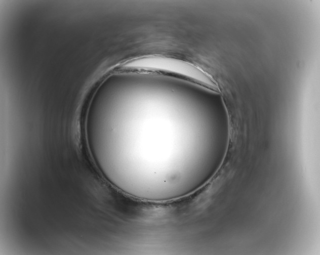 X0000088840198200706211839