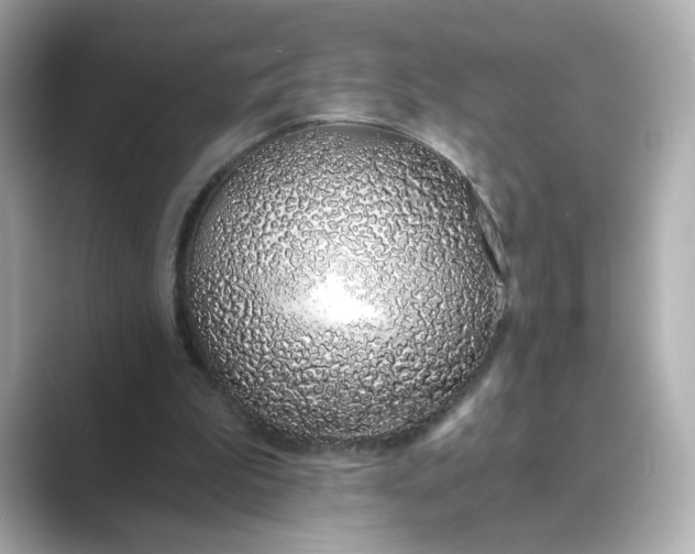 X0000088840199200706211839