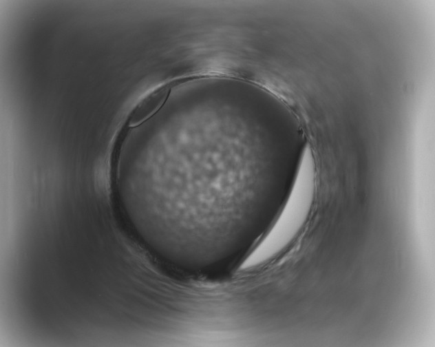 X0000088840200200706211839