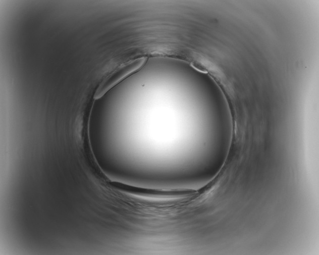 X0000088840201200706211839