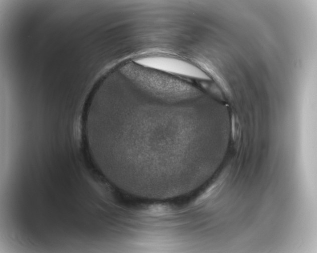 X0000088840204200706211839